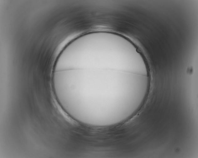 X0000113751333200910211138