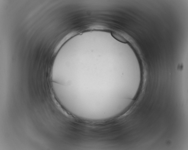 X0000113751337200910211138