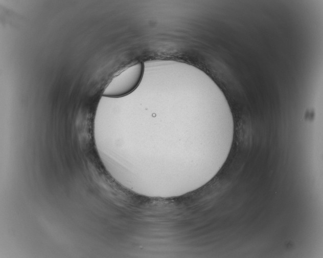 X0000113751346200910211137