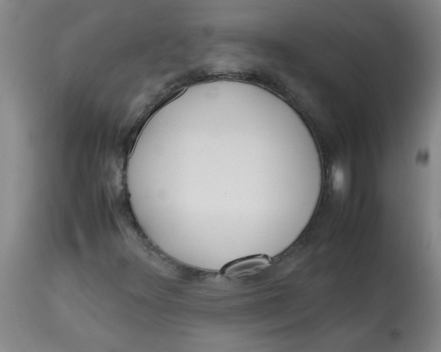 X0000113751348200910211137