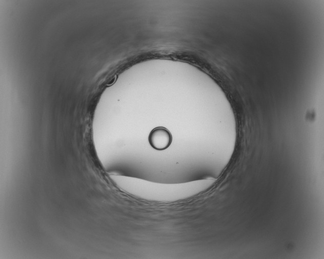 X0000113751349200910211137