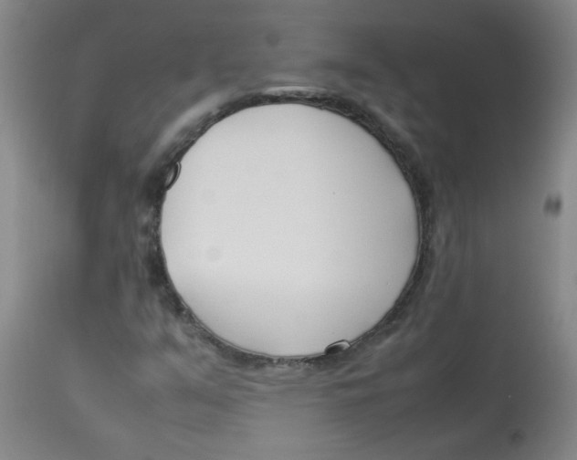 X0000113751351200910211137