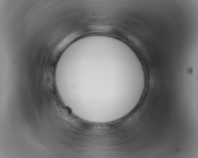 X0000113751354200910211137