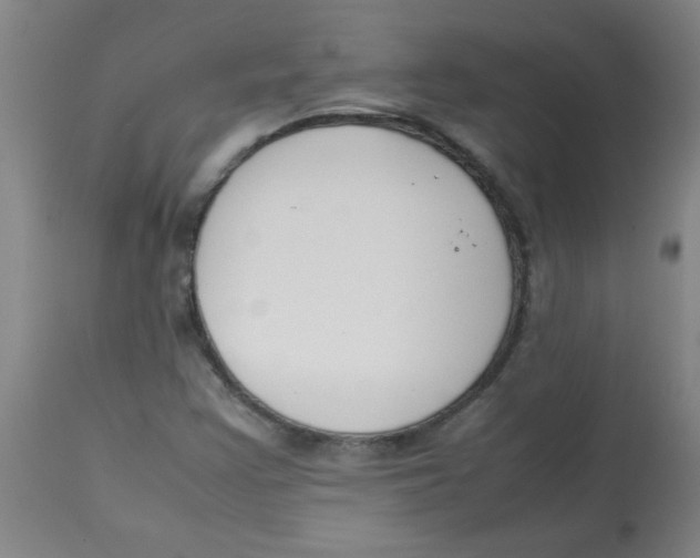 X0000113751355200910211137