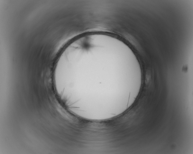 X0000113751356200910211137