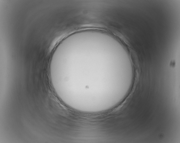 X0000113751357200910211137