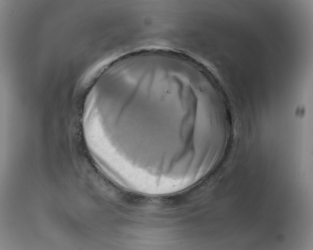 X0000113751359200910211137