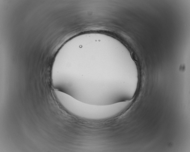 X0000113751361200910211137