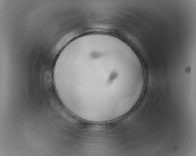 X0000113751362200910211137