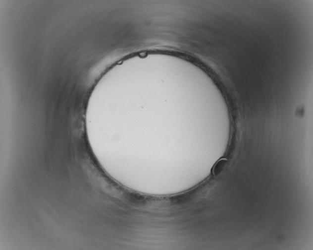 X0000113751363200910211137