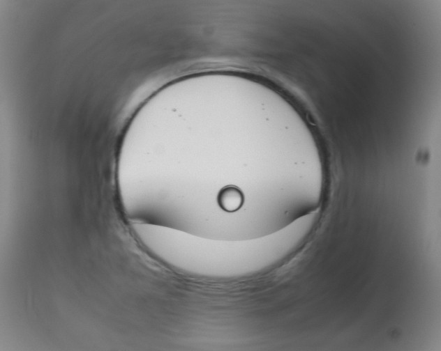 X0000113751365200910211137