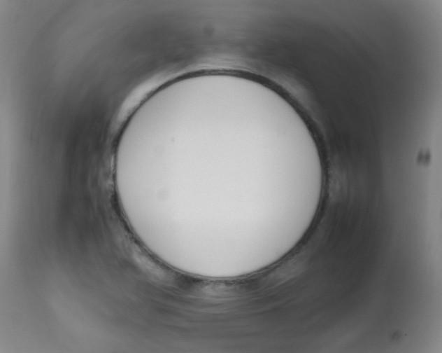 X0000113751366200910211137