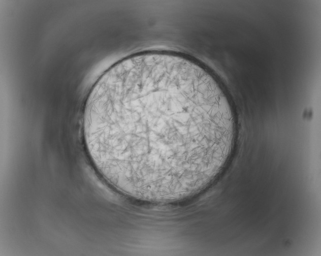 X0000113751367200910211137