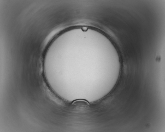 X0000113751368200910211137