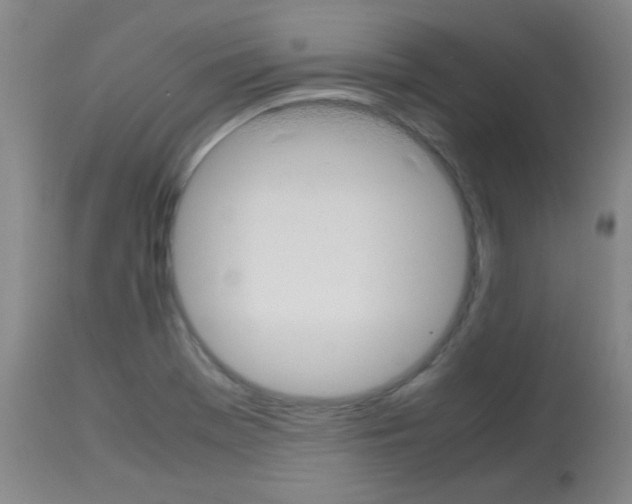 X0000113751369200910211137