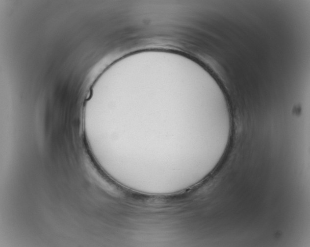 X0000113751371200910211137