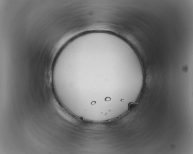 X0000113751372200910211137