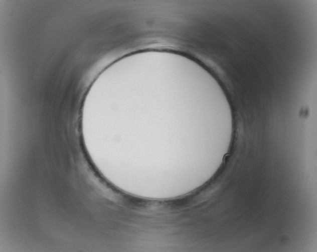 X0000113751375200910211137