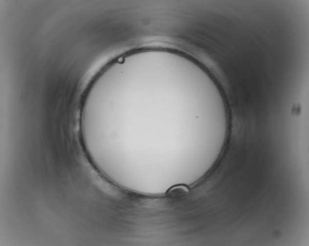 X0000113751376200910211137