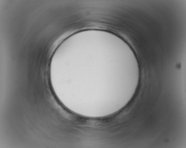 X0000113751379200910211137