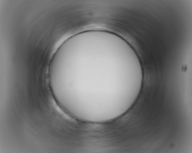 X0000113751382200910211137