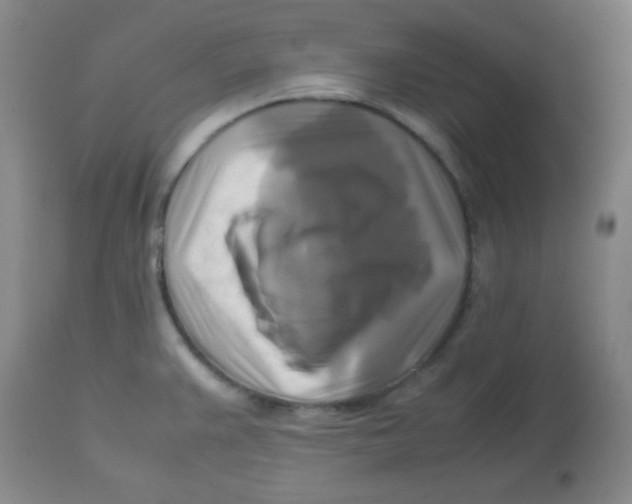 X0000113751383200910211137