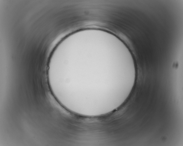 X0000113751384200910211137