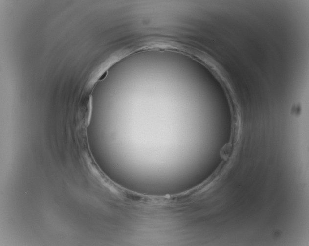 X0000113751385200910211137