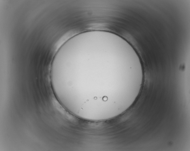 X0000113751386200910211137