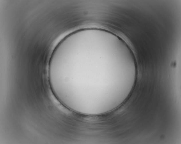 X0000113751388200910211137