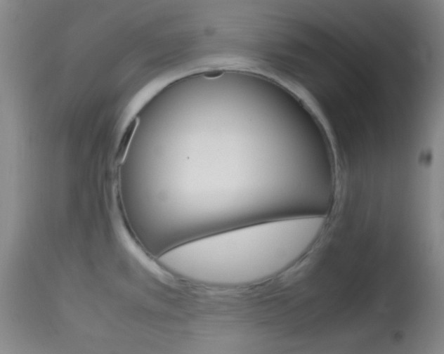 X0000113751389200910211137