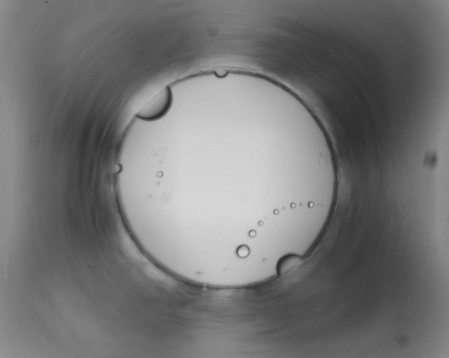 X0000113751390200910211137