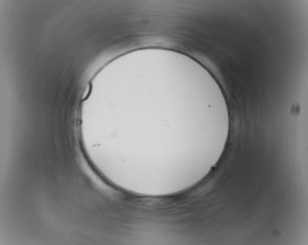 X0000113751391200910211137