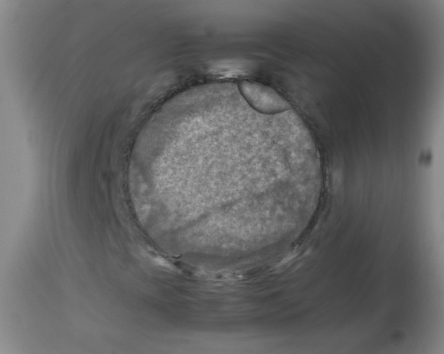 X0000113751393200910211136