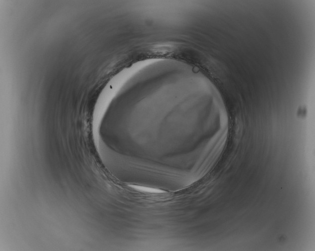 X0000113751394200910211136