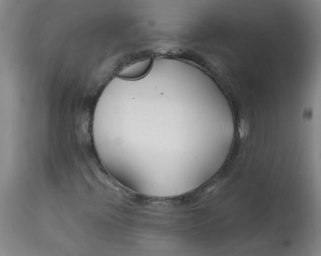 X0000113751396200910211136