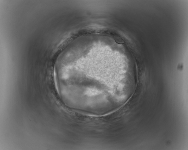 X0000113751397200910211136