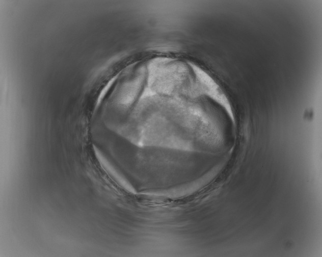 X0000113751398200910211136