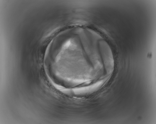 X0000113751399200910211136