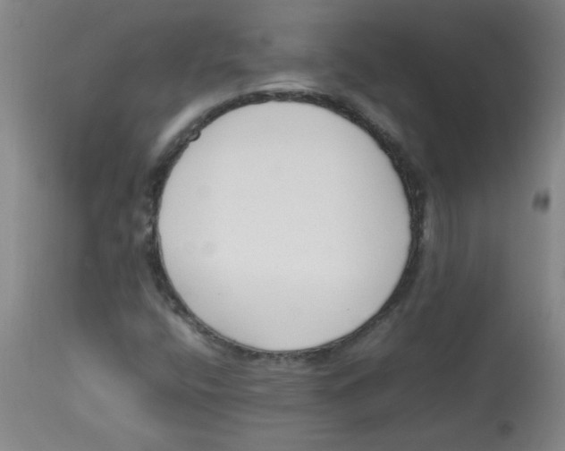 X0000113751400200910211136