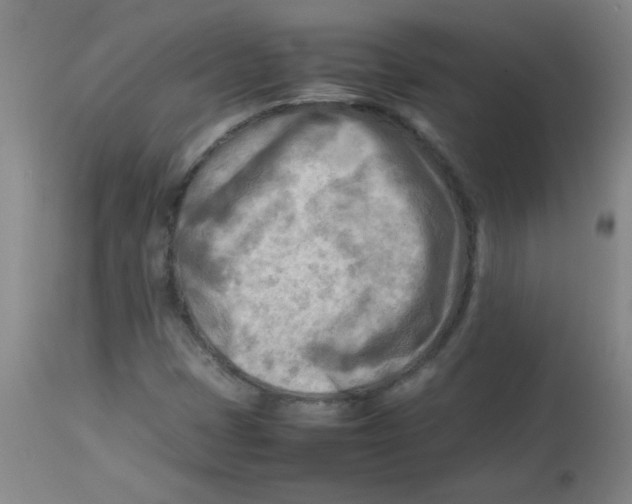 X0000113751401200910211136