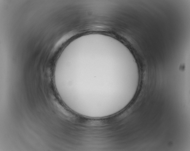 X0000113751402200910211136