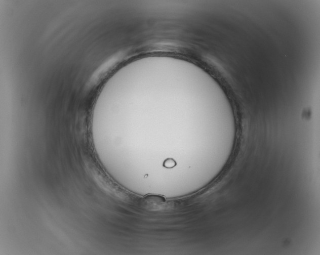 X0000113751403200910211136