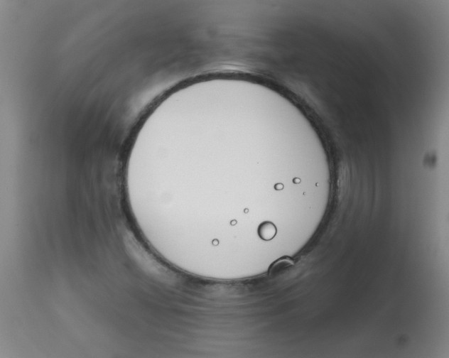 X0000113751404200910211136