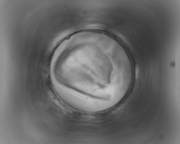 X0000113751405200910211136