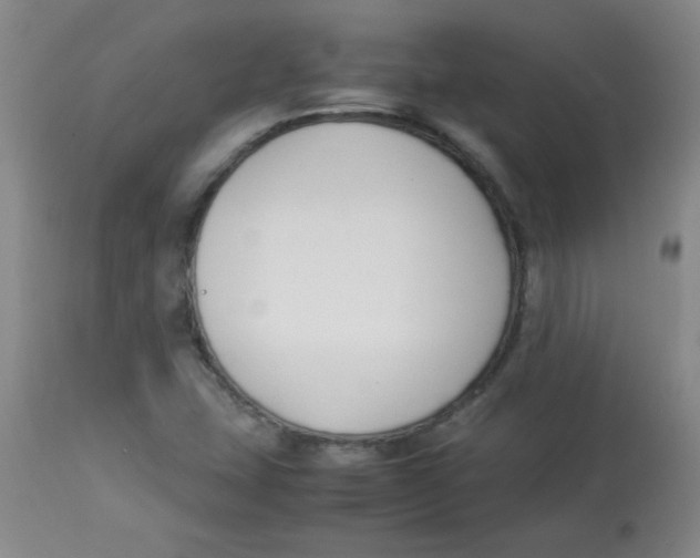 X0000113751407200910211136