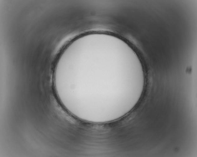 X0000113751408200910211136