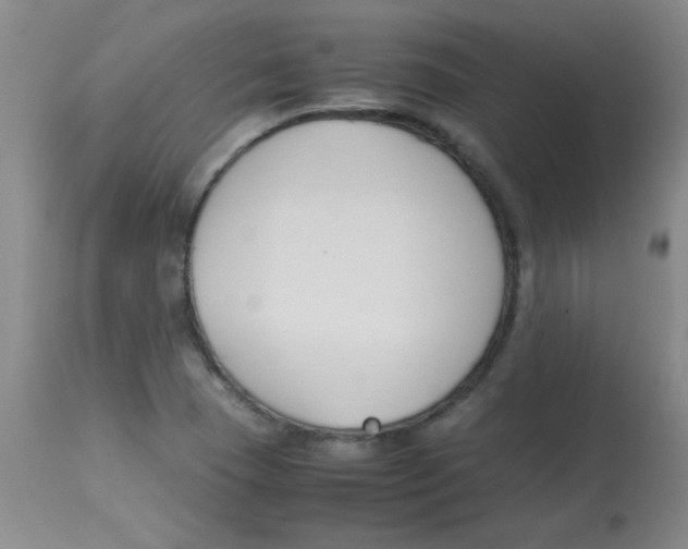 X0000113751409200910211136