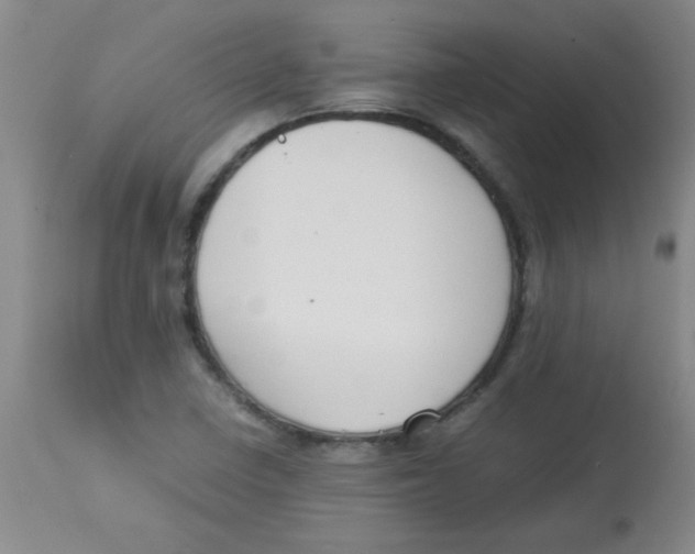 X0000113751410200910211136