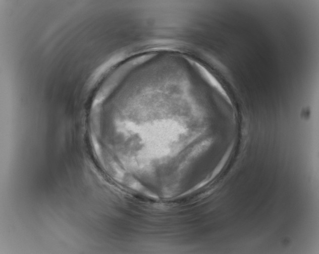 X0000113751411200910211136